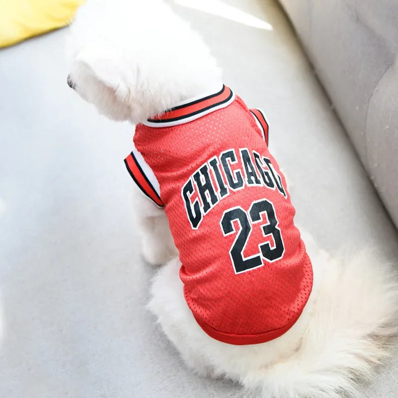 Roupa de basquete (Chicago)