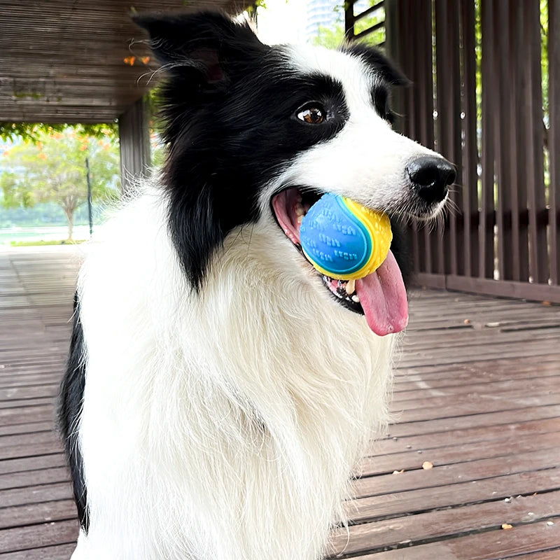 Brinquedos Interativos para Cães