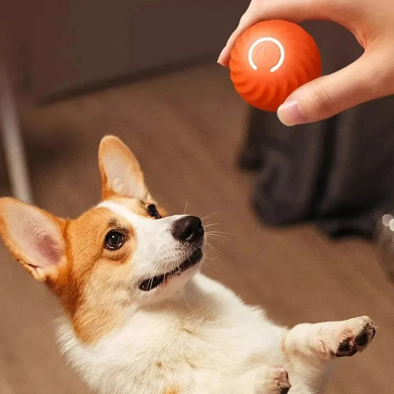 Bolinha interativa com movimento irregular